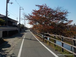 DSCN0334-thumb-400x301-9299.jpg
