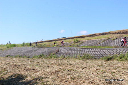 IMG_3401-thumb-450x300-14800.jpg