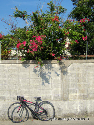 IMG_8819-thumb-301x400-5155.jpg