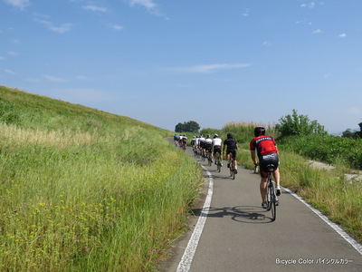 IMG_9188-thumb-400x300-11837.jpg