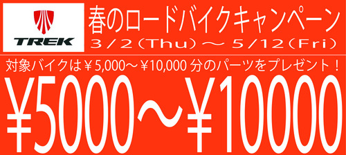 coupon02-thumb-500x224-16068.jpg